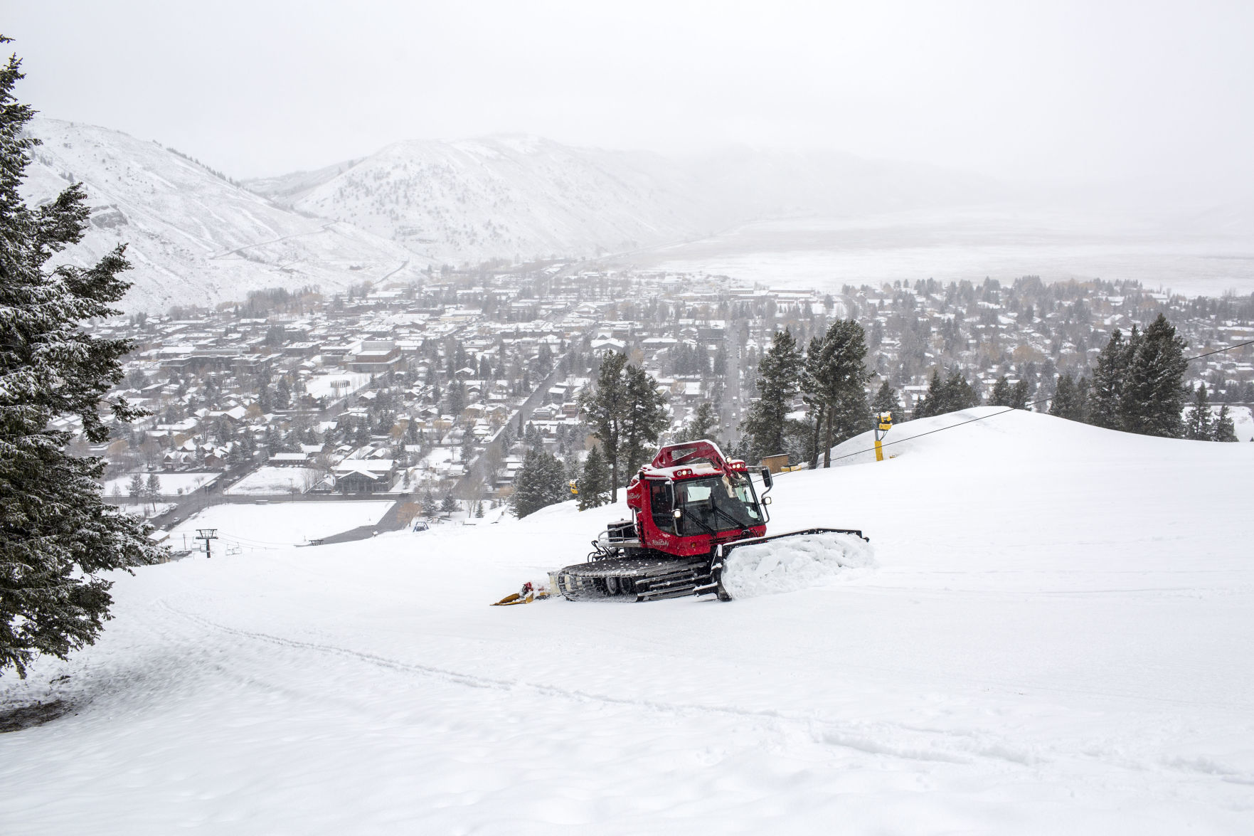 Grooming Snow King